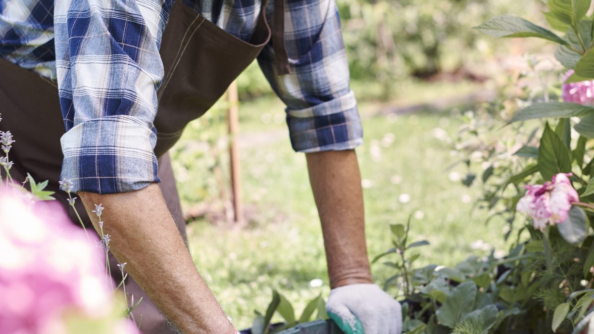 Jardinage thérapeutique en EHPAD : quand les plantes font du bien aux résidents